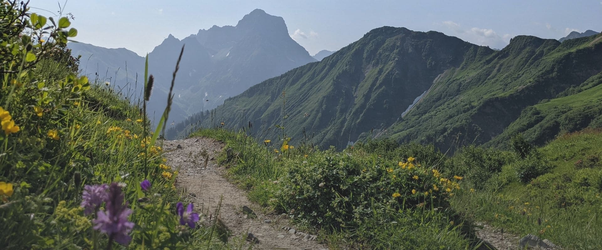 Weg in der Natur – Heimkommen zu mir selbst Schmaler Bergpfad mit bunten Blumen im Vordergrund und Blick auf grüne Berge – Symbol für den Weg zu innerer Ruhe und Selbstverbundenheit