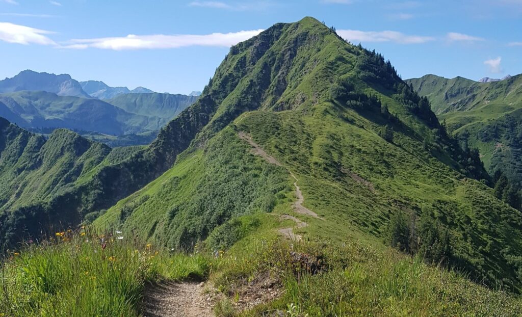 Berggrat im Allgäu als Symbol für Orientierung und innere Klarheit.